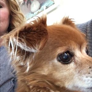 Meet your Posher, Shelley